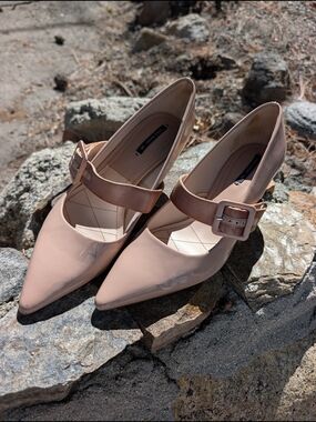 Zara Pointed-Toe Mary Jane Heels in Blush Pink